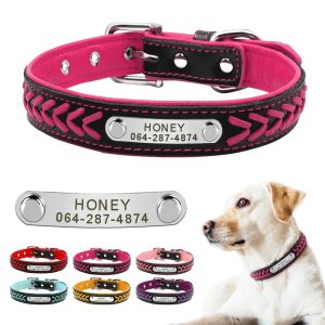 Collier pour chien en cuir personnalisable - Béatri
