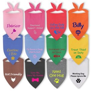 Bandana coloré pour chien personnalisable – Udile