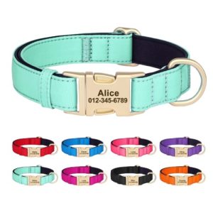 Collier pour chien en nylon personnalisable – Fopi