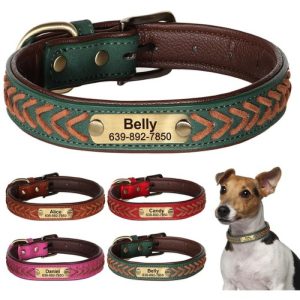 Collier pour chien en cuir personnalisable – Lomnobi