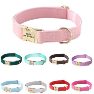 Collier pour chien en cuir personnalisable - Eko