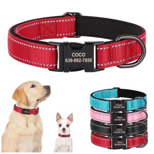Collier pour chien en nylon réfléchissant personnalisable – Saly