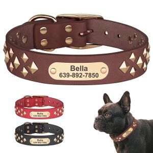 Collier pour chien en cuir personnalisable – Nilo