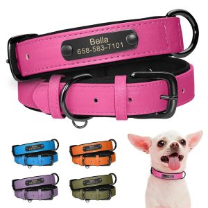 Collier pour chien en cuir personnalisable - Forsila