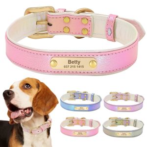 Collier pour chien en cuir personnalisable - Gjibli