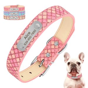 Collier pour chien en cuir personnalisable – Gjibli