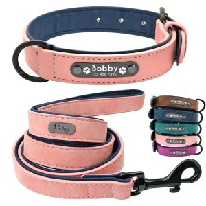 Collier et laisse pour chien en nylon personnalisable – Pedro