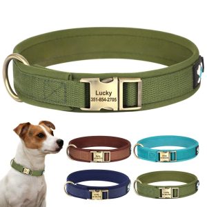 Collier pour chien doux rembourré personnalisable – Lilian