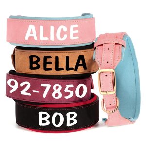Collier pour chien en cuir personnalisable – Kulutu