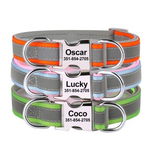 Collier pour chien en nylon réfléchissant – Thiery